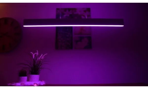 Lustră LED pe cablu Hue ENSIS WACA 2×LED/39W/230V Philips 40903/30/P9