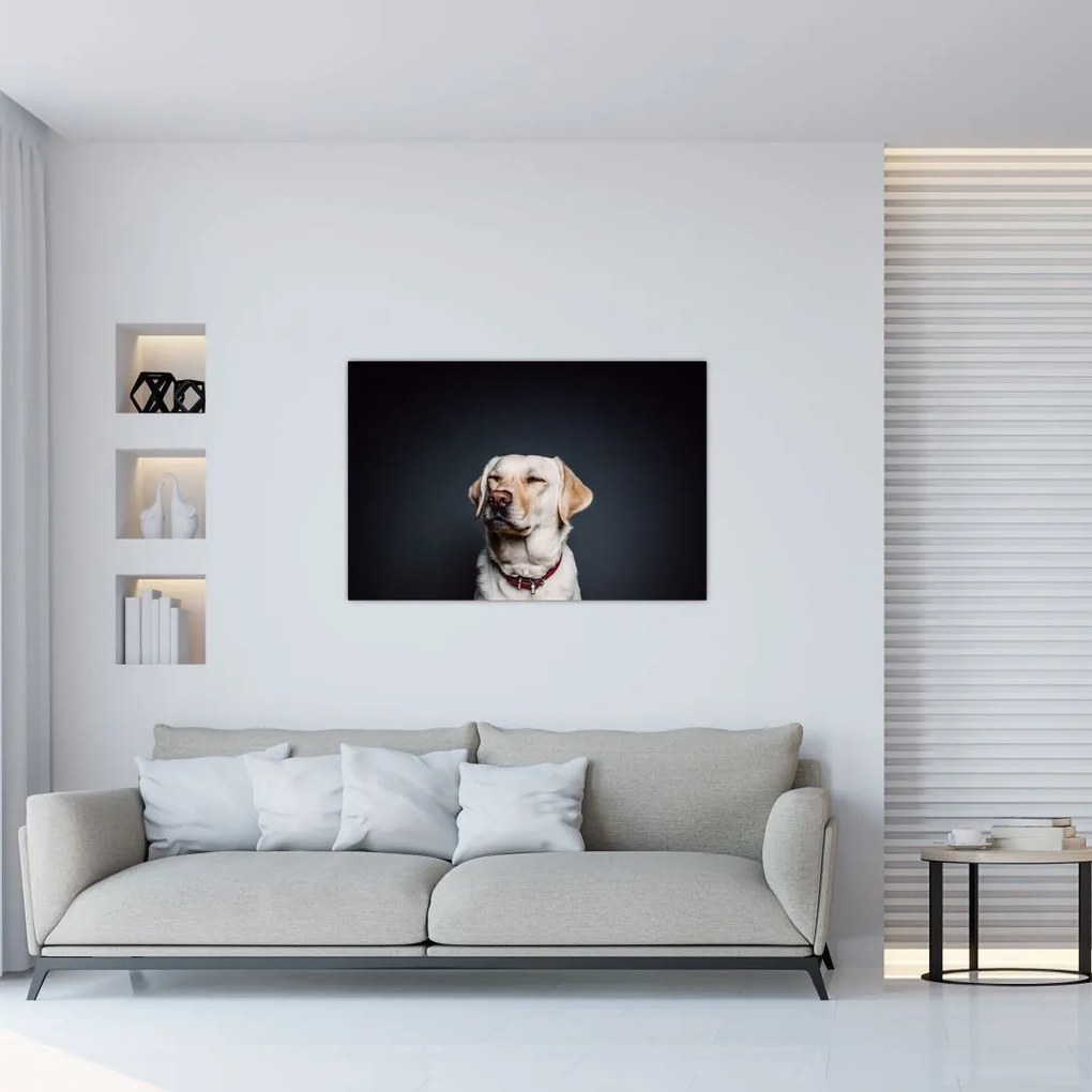 Tablou cu labrador (90x60 cm)