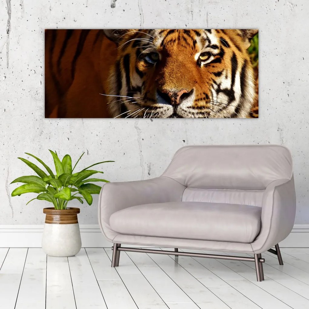 Tablou cu tigrul (120x50 cm)