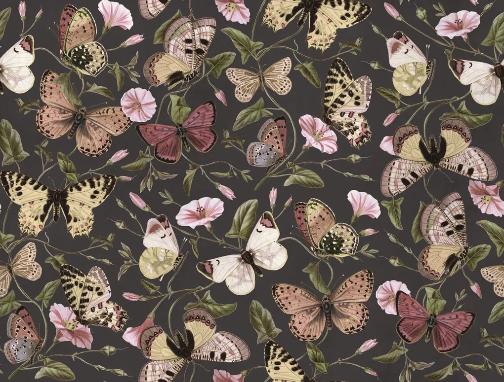 Fototapet, Butterflies, Midnight, Rebel Walls