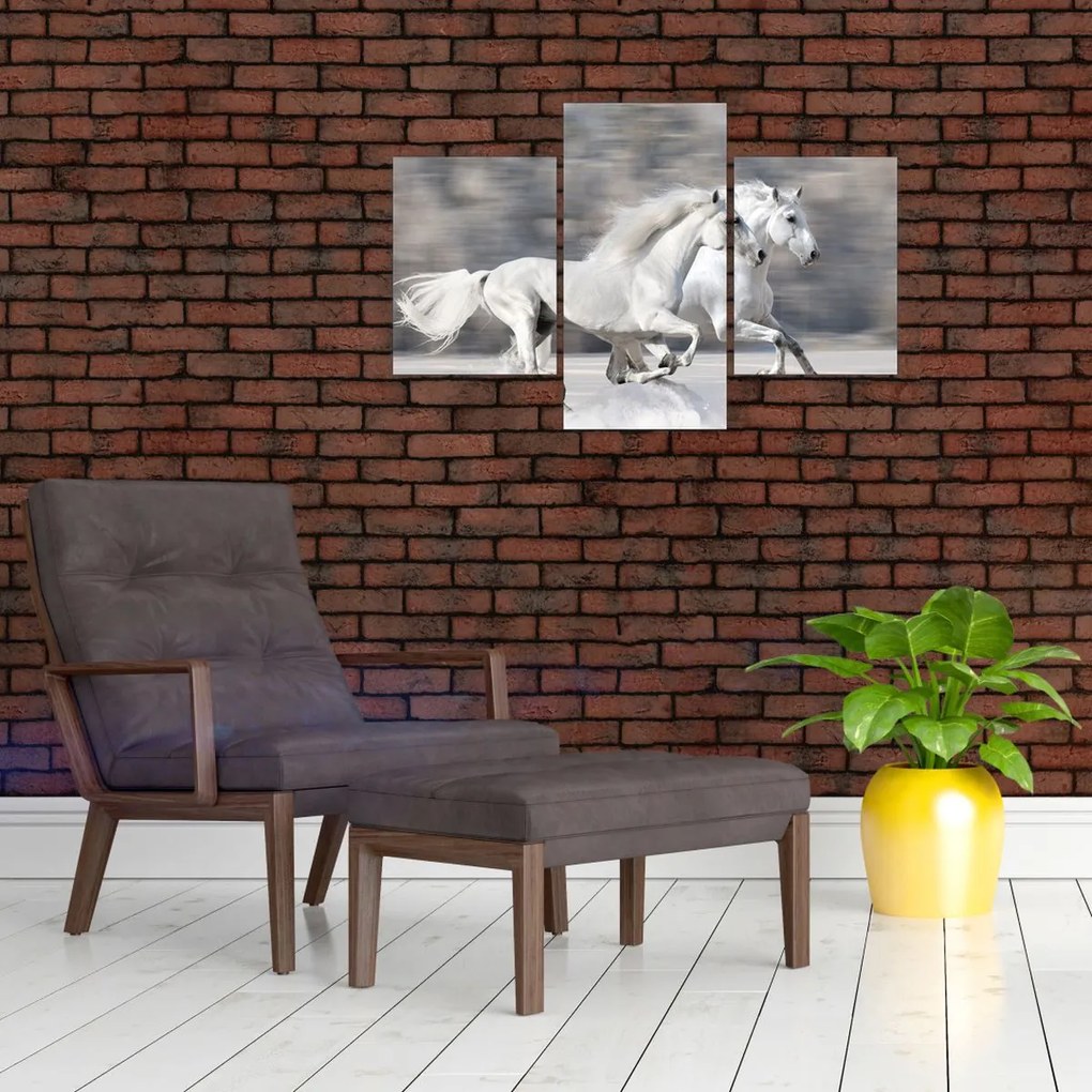 Tablou - Cai albi în timpul iernii (90x60 cm)