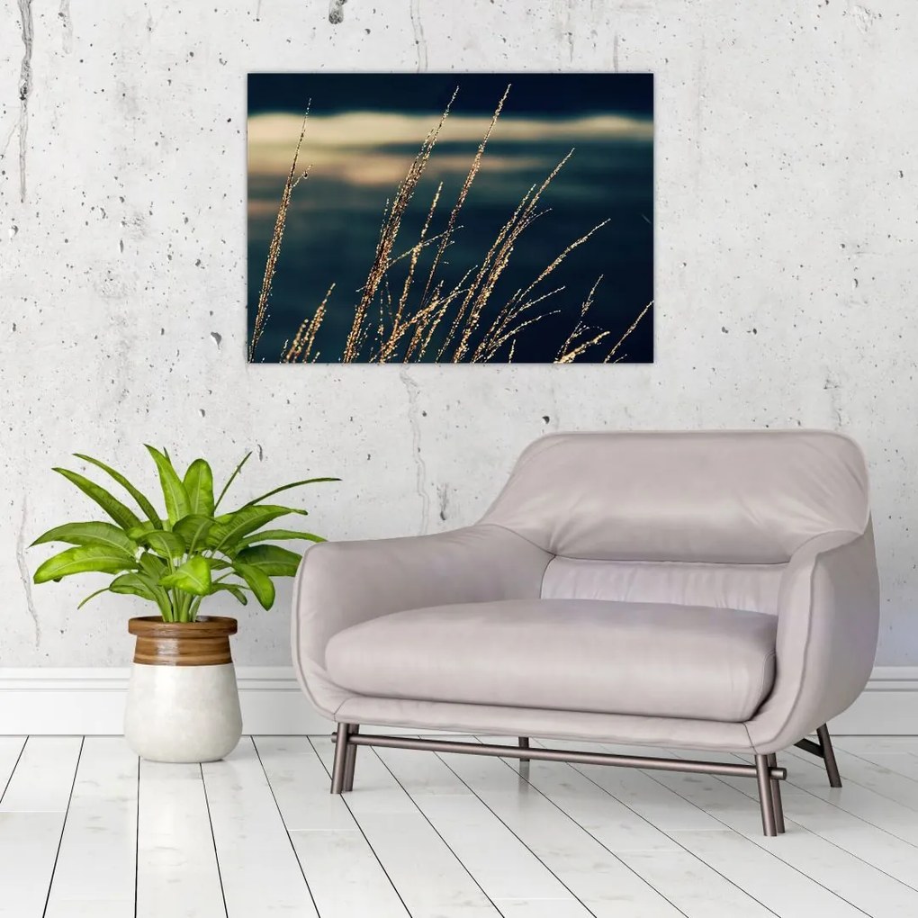 Tablou pe sticlă cu ierburi (70x50 cm)