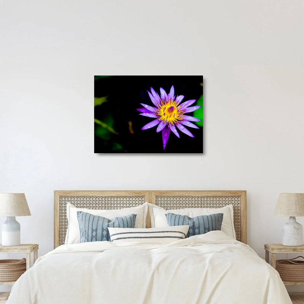 Tablou pe sticlă cu floare (70x50 cm)