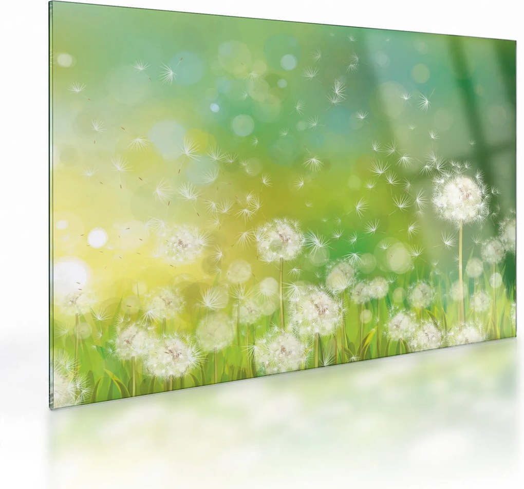 Tablou pe sticlă - Păpădie înflorită (70x50 cm)