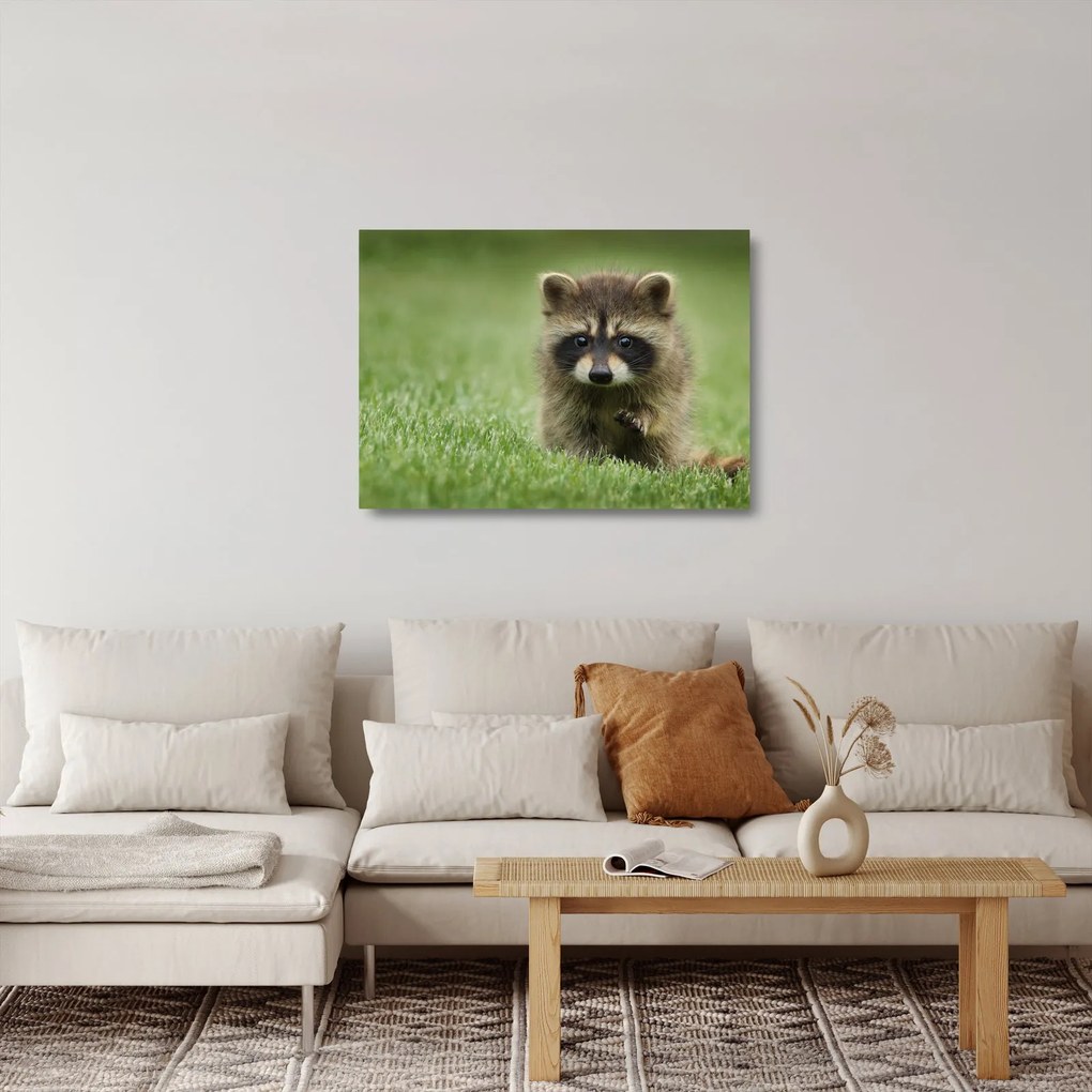 Tablou pe sticlă cu chiuvetă (70x50 cm)