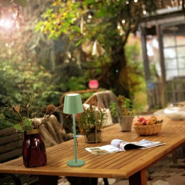 Lampă LED reîncărcabilă de exterior Leuchten Direkt 19250-43 EURIA LED/3W/5V IP54