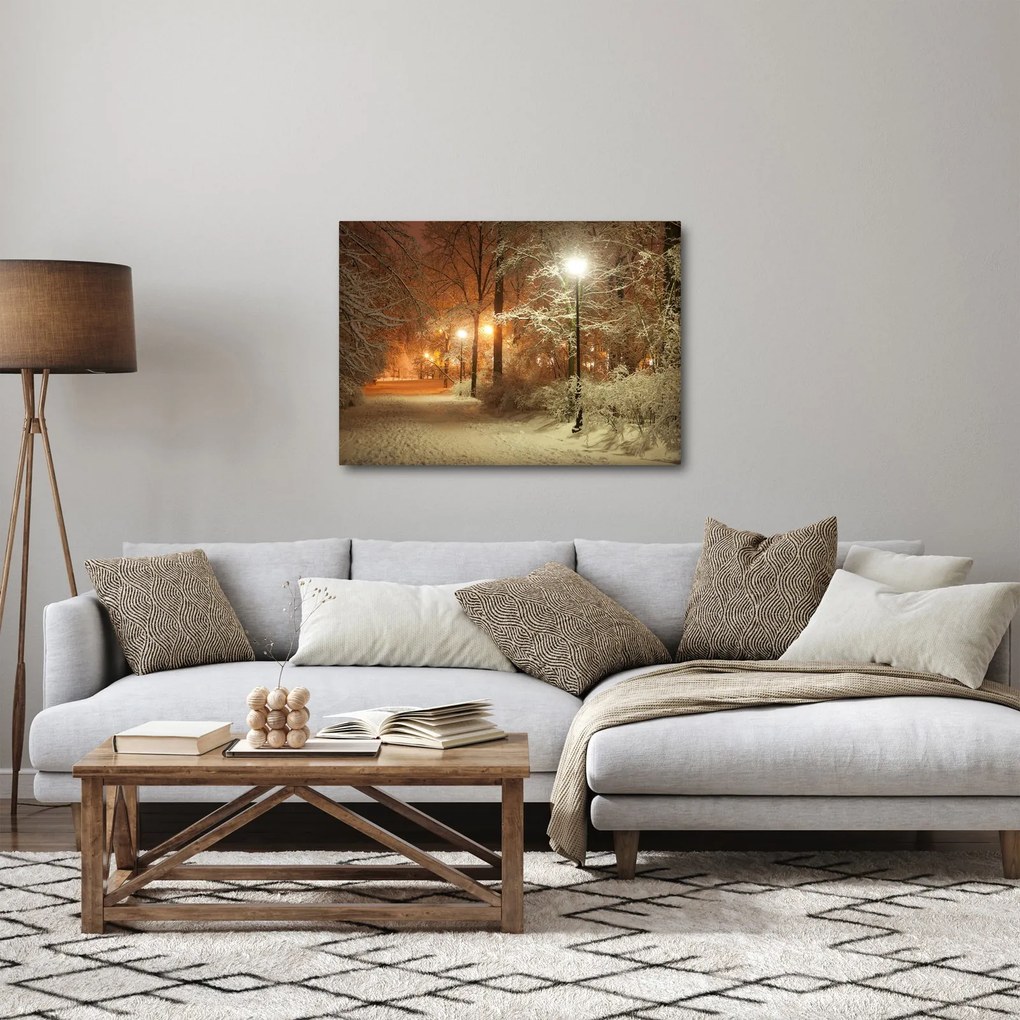 Tablou - Parcul înzăpezit (70x50 cm)