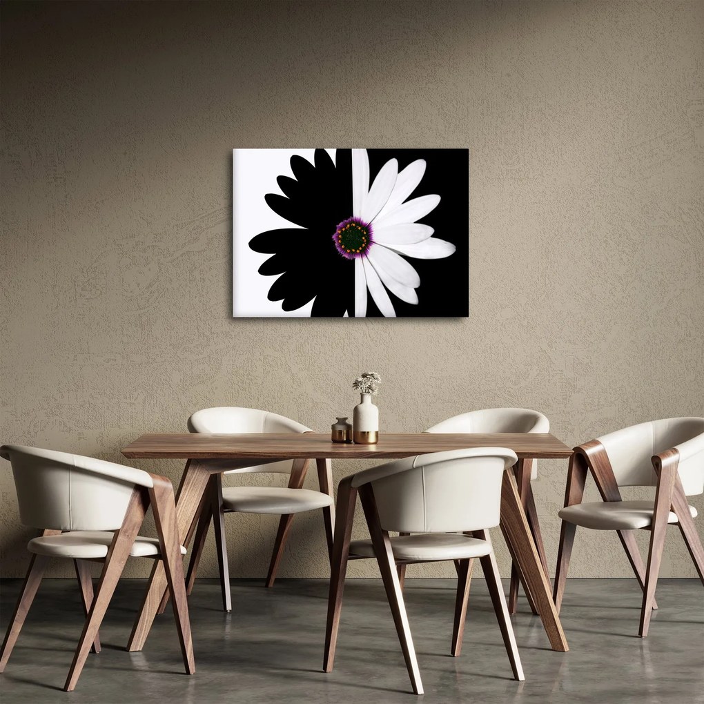 Tablou - Floare, alb- negru (70x50 cm)
