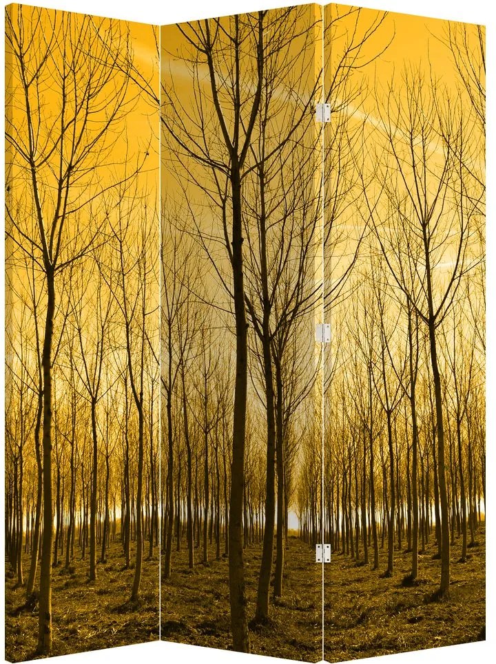 Paravan - Pădure în apus de soare (126x170 cm)