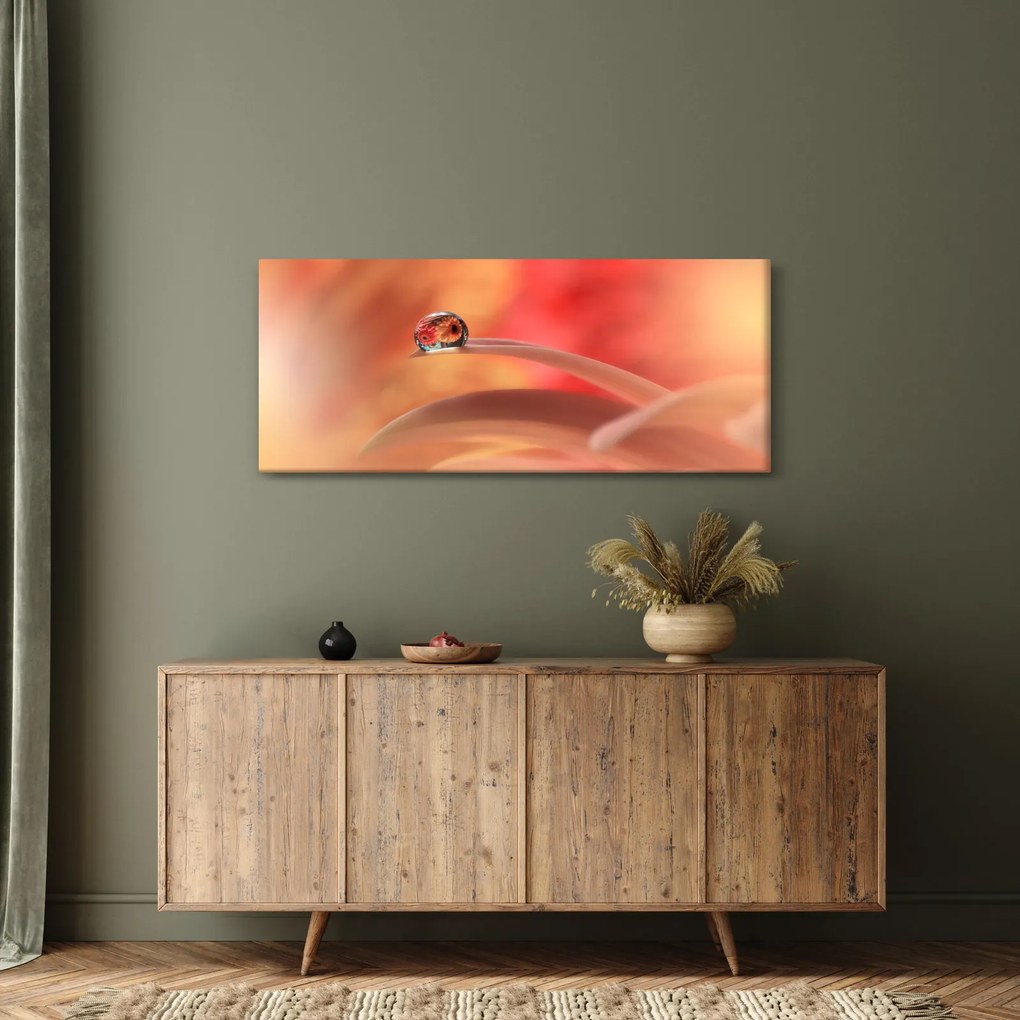 Tablou picăturii de rouă pe floare (120x50 cm)