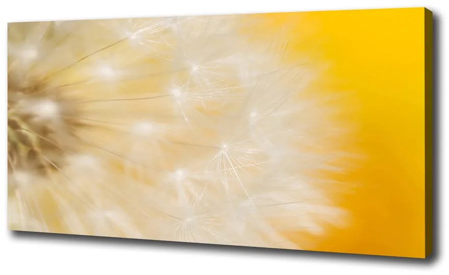 Print pe canvas Păpădie