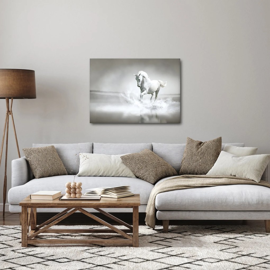 Tablou - Cal alb (70x50 cm)