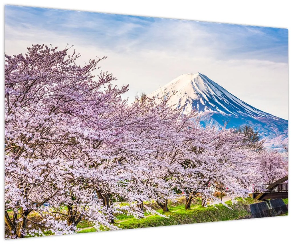 Tablou - Japonia în primăvară (90x60 cm)