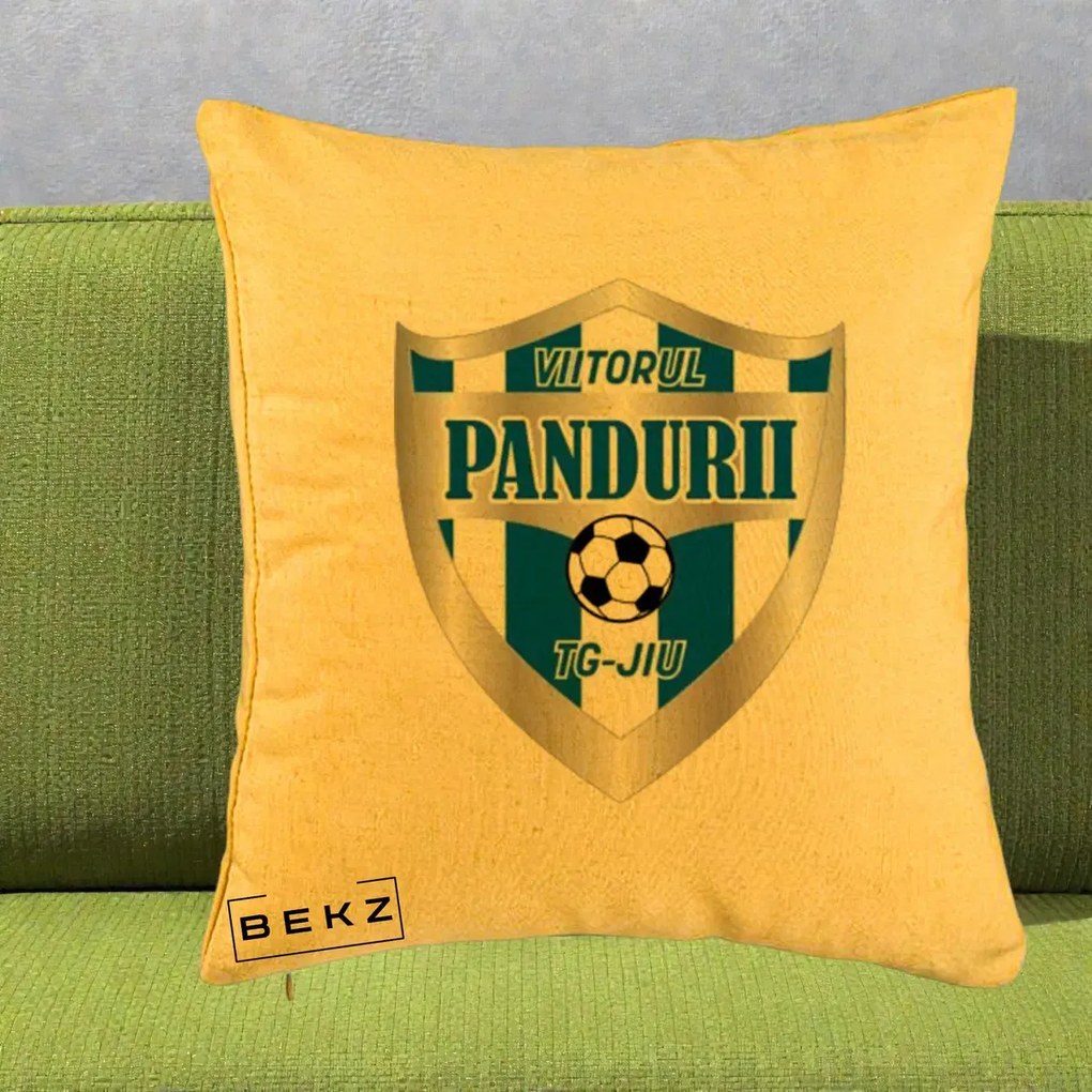 Perna Personalizata Pandurii Targu Jiu Fotbal, 40x40 cm, Galben, Husa Detasabila, Perna Inclusa, BEKZ®