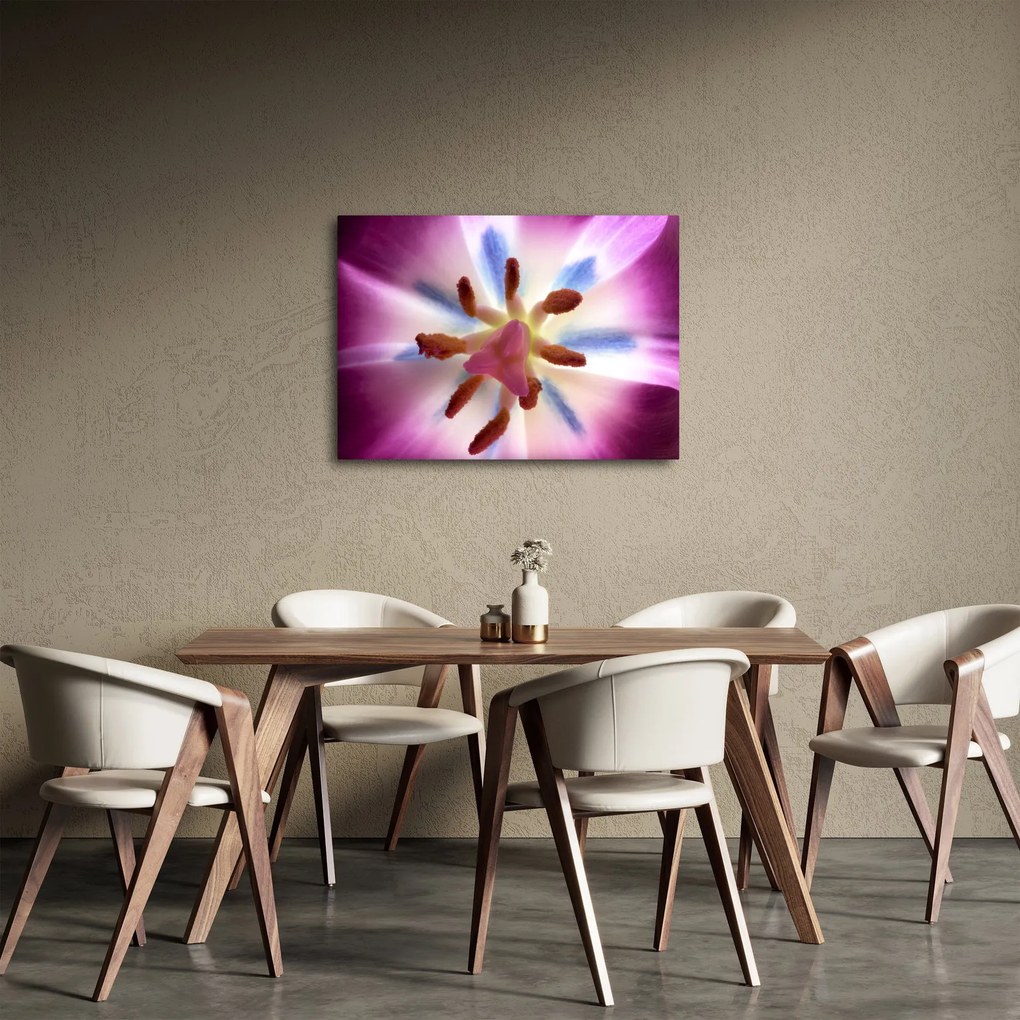 Tablou - Laleaua detailat (70x50 cm)