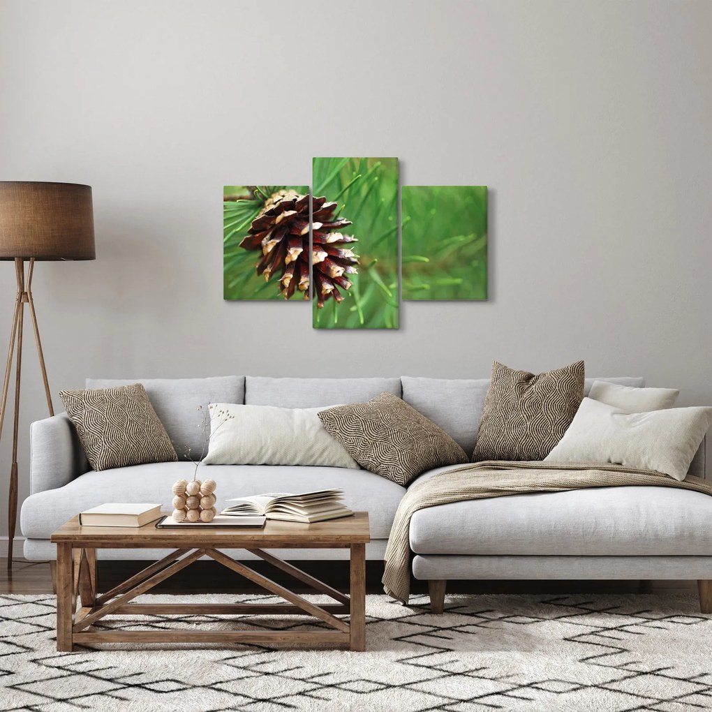 Tablou cu con (90x60 cm)