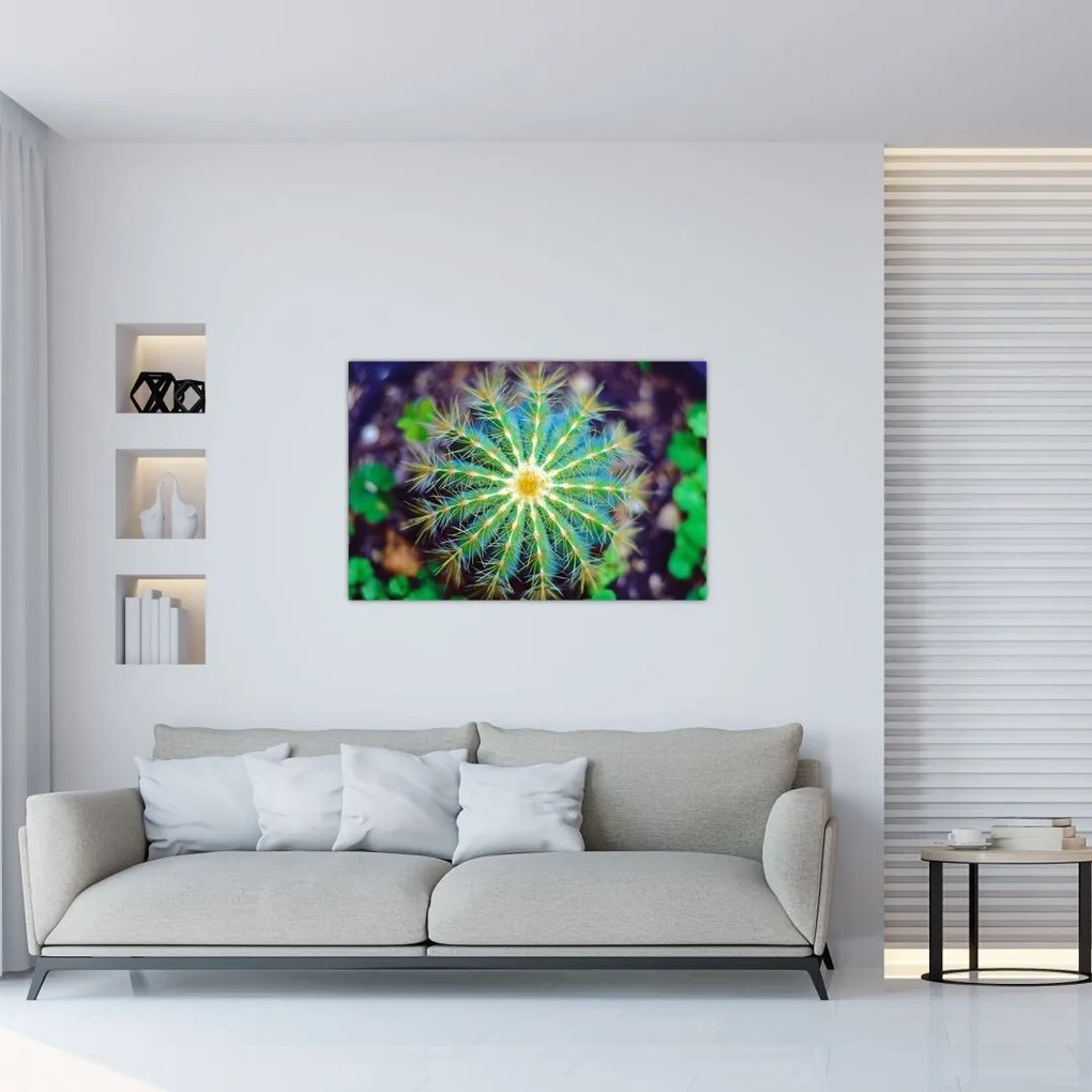 Tablou cu cactus (90x60 cm)