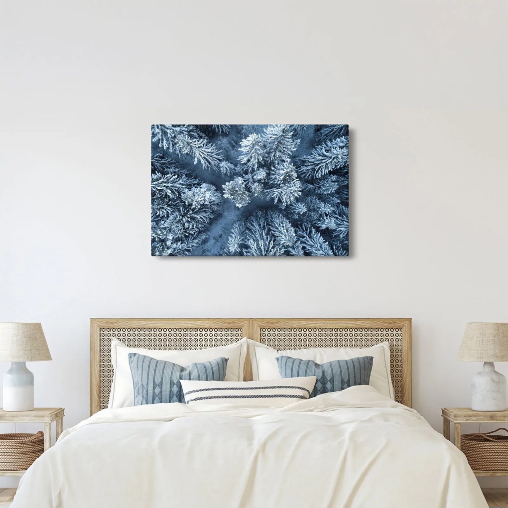 Tablou - Pădure înzăpezită (90x60 cm)