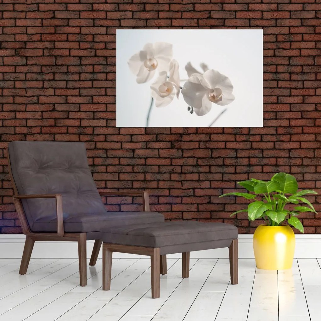 Tablou cu orhidee albă (90x60 cm)