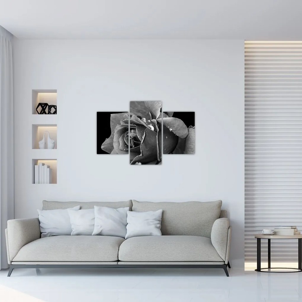 Tablou cu trandafir - albneagră (90x60 cm)