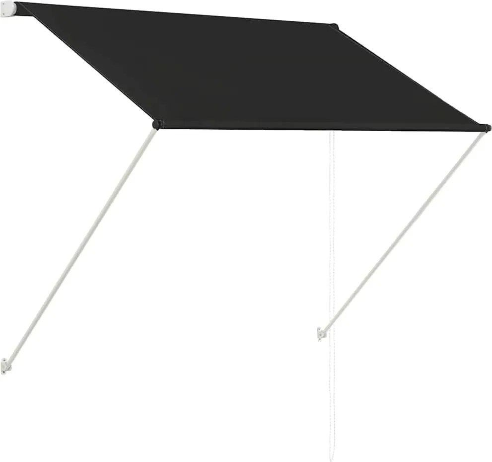 vidaXL Copertină retractabilă, antracit, 100 x 150 cm