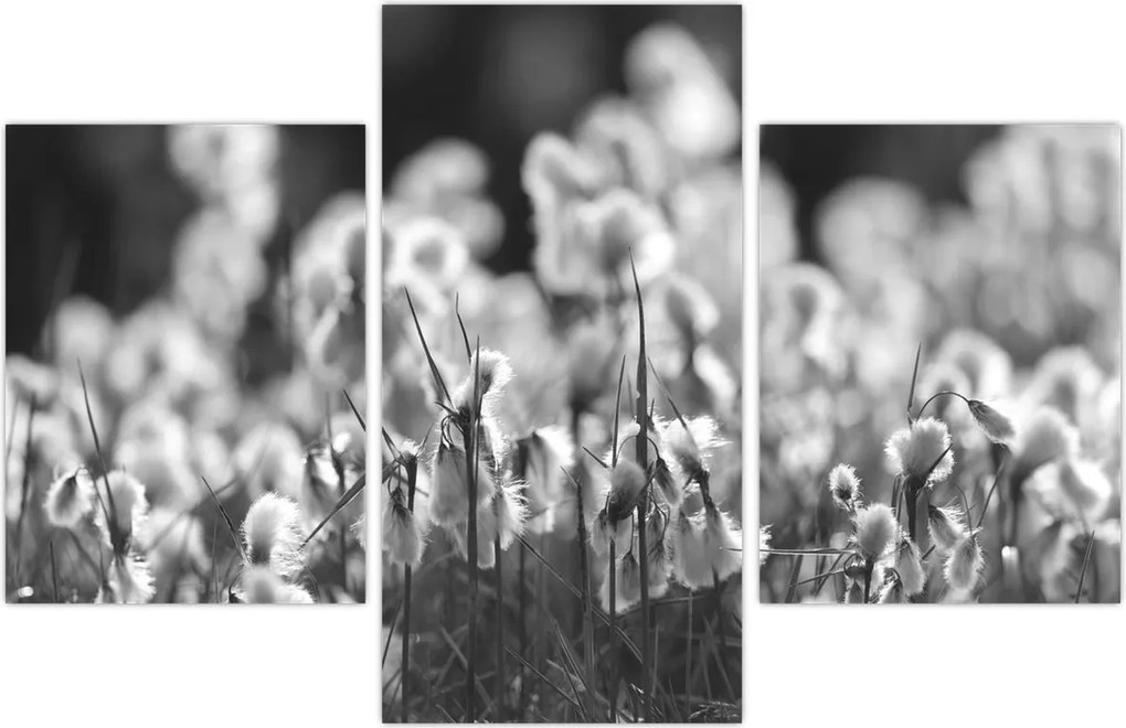 Tablou - Pajiște de vară (90x60 cm)