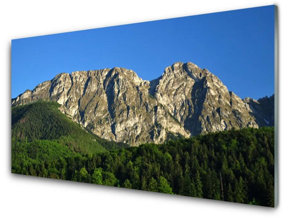 Tablouri acrilice Mountain Natural Pădurea Verde Gri