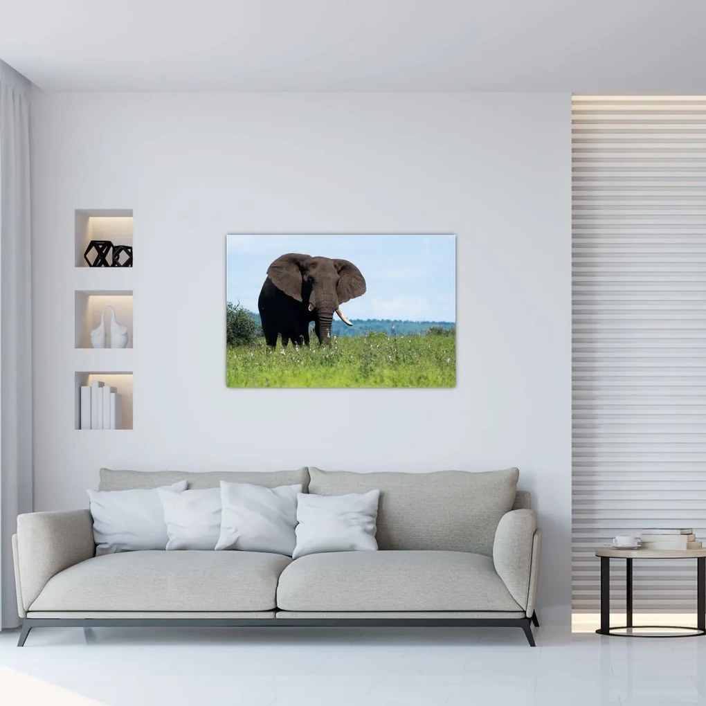 Tablou cu elefant (90x60 cm)
