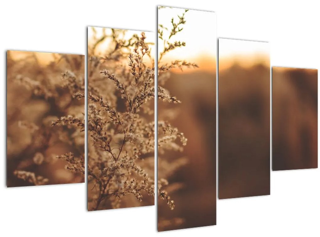 Tablou - Iarba înflorită (150x105 cm)