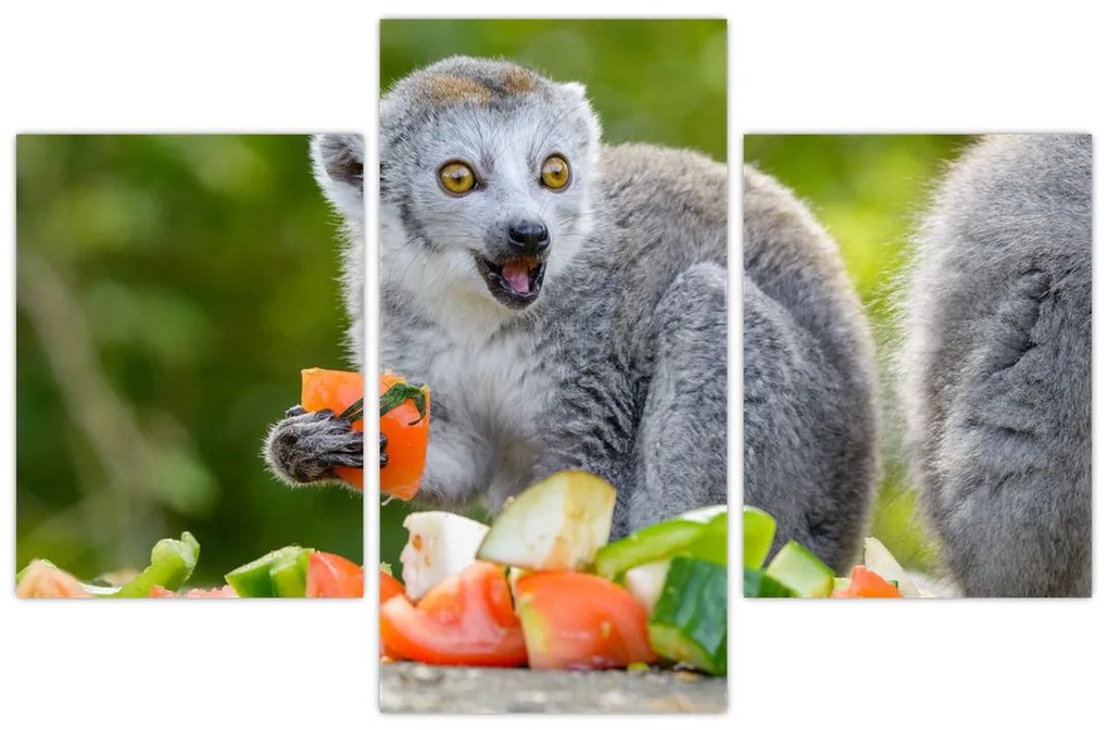 Tablou cu lemur (90x60 cm)