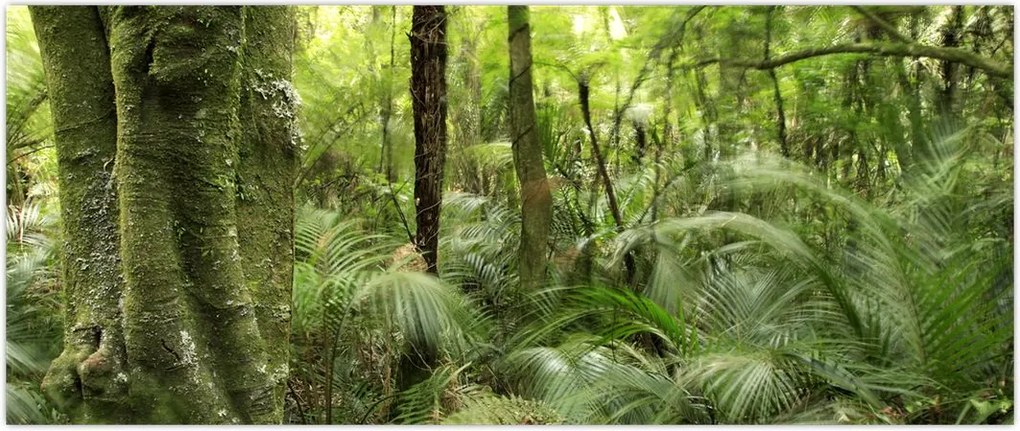 Tablou - Pădure tropicală (120x50 cm)