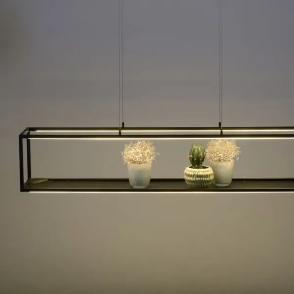 Lustră LED dimabilă pe cablu CONTURA 4xLED/8W/230V Paul Neuhaus 2441-18