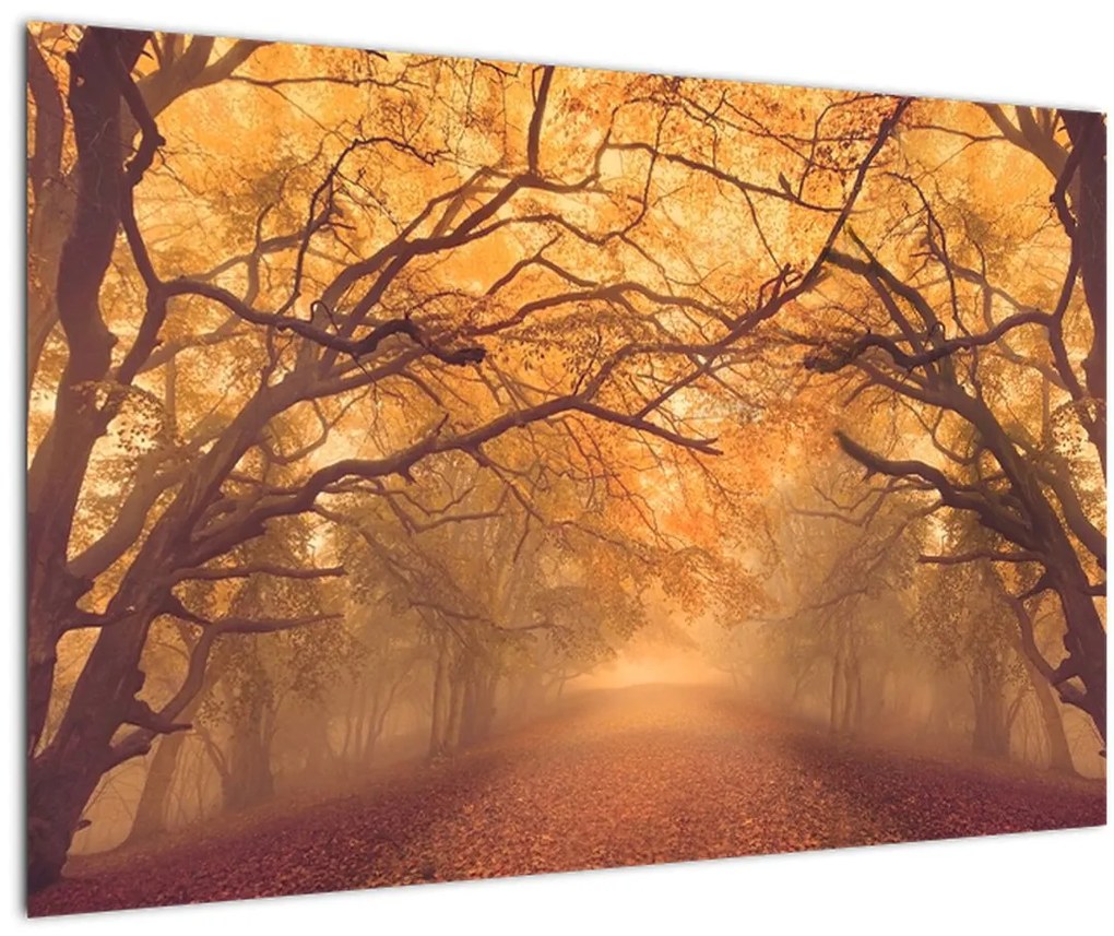 Tablou - Peisaj de toamnă cu drum (90x60 cm)