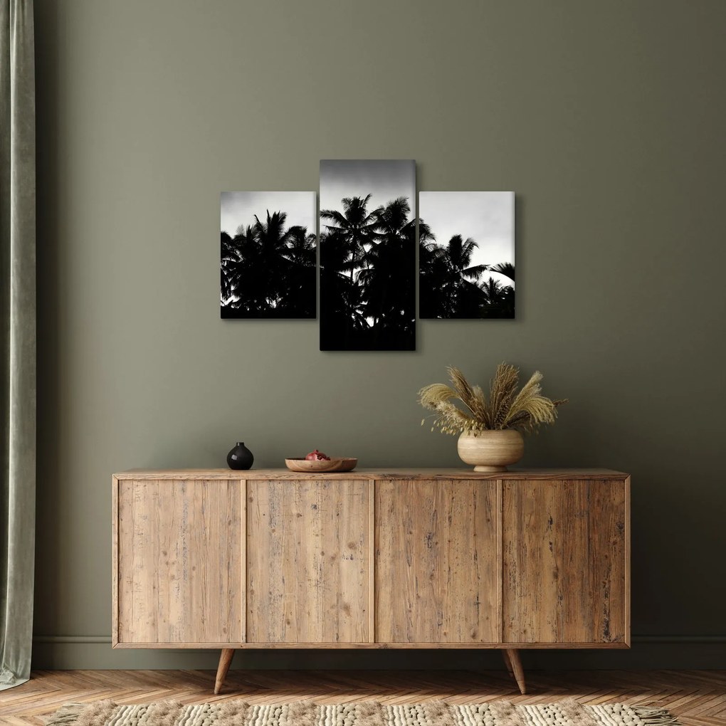 Tablou alb negru - palmieri (90x60 cm)