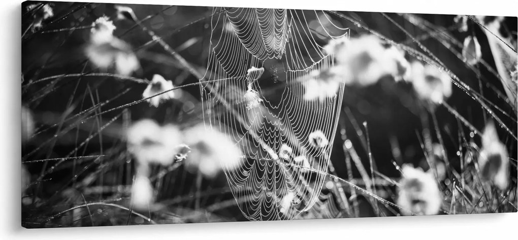 Tablou - Pânza de păianjen în pajiște (120x50 cm)