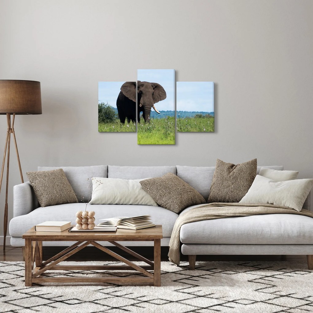 Tablou cu elefant (90x60 cm)