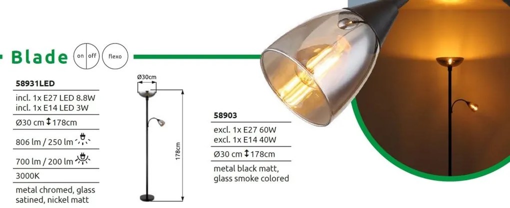 Lampadar/Lampa de podea BLADE negru/fumuriu