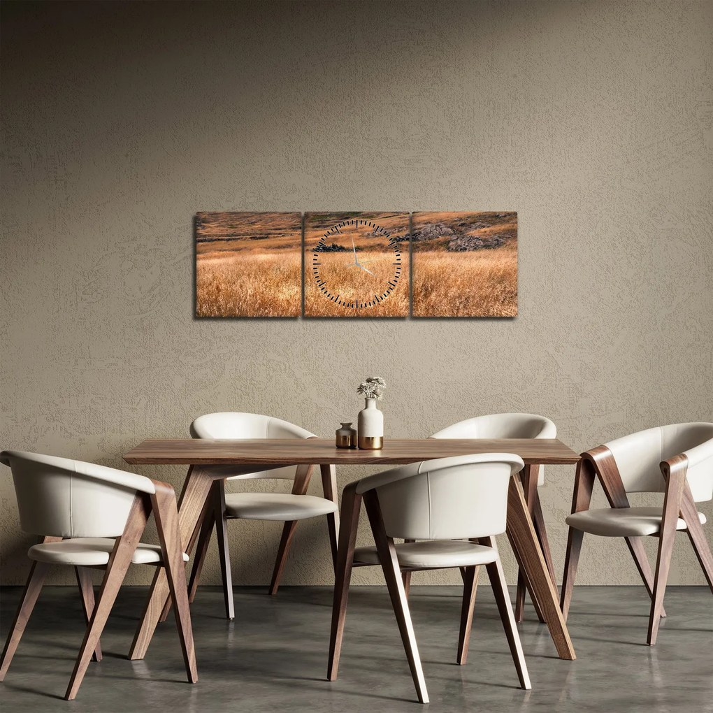 Tablou cu câmp (cu ceas) (90x30 cm)