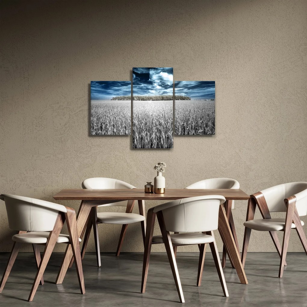 Tablou cu câmp (90x60 cm)