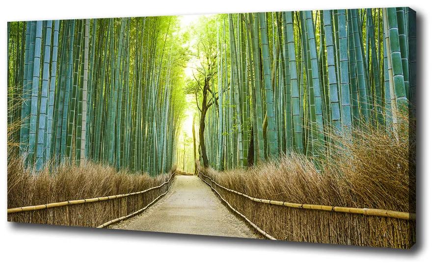 Pictură pe pânză Pădure de bambus