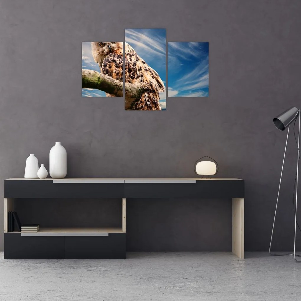 Tablou - Bufniță (90x60 cm)