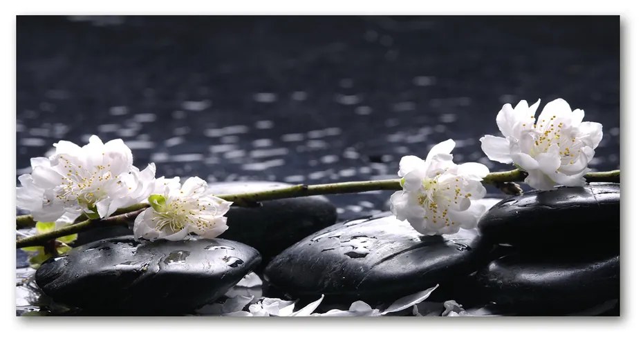 Pictura pe sticlă acrilică Floare de cires