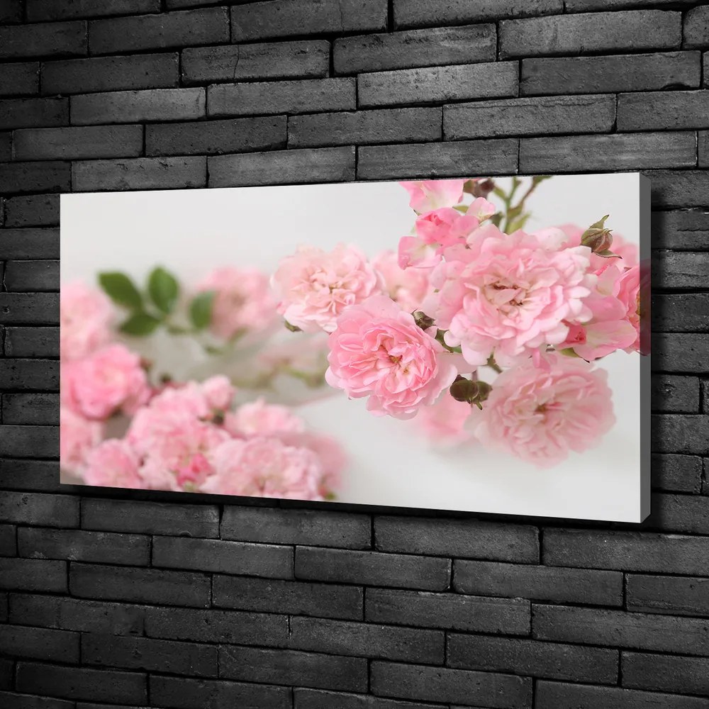 Print pe canvas Trandafiri sălbatici