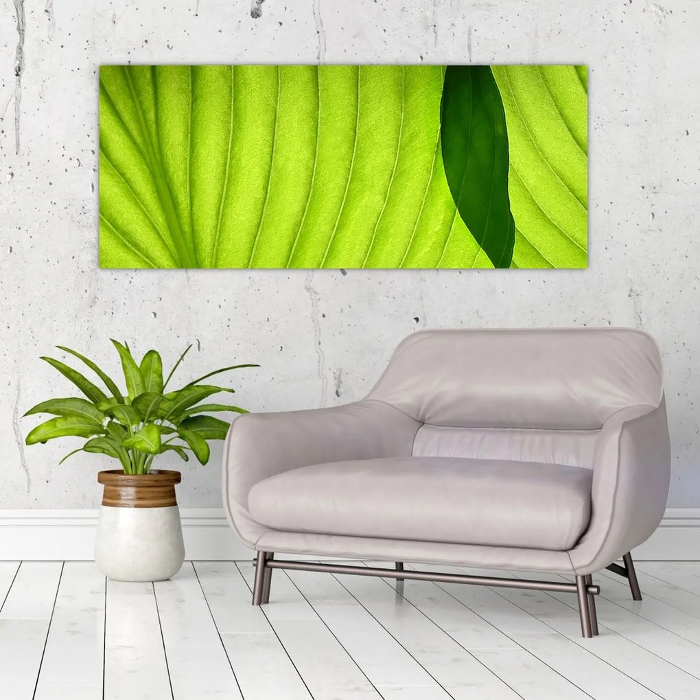 Tablou - Detaliu de frunză verde (120x50 cm)
