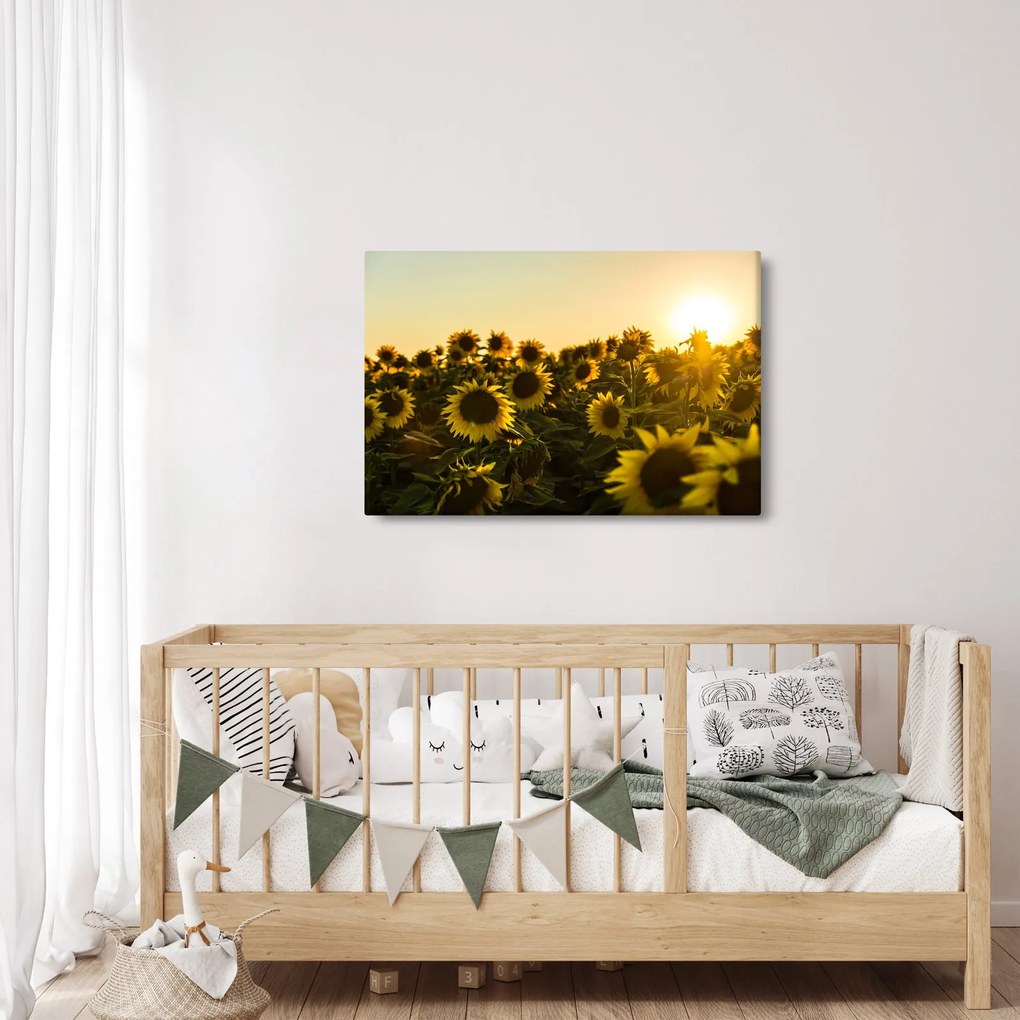 Tablou cu lan de floarea soarelui (90x60 cm)