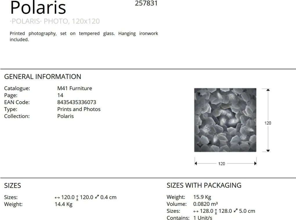 Tablou de perete decorativ Polaris,120x120cm