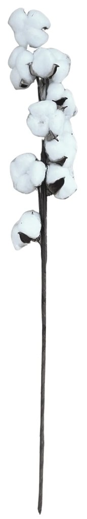 Plantă naturală uscată bumbac, 60 cm