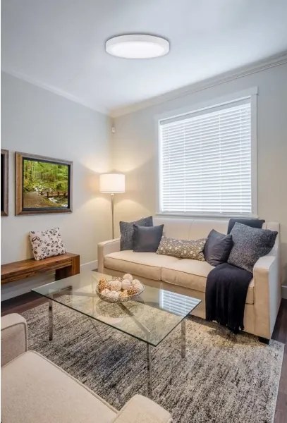 Plafonieră LED FENIX LED/12W/230V 3800K d. 17 cm alb zăpadă