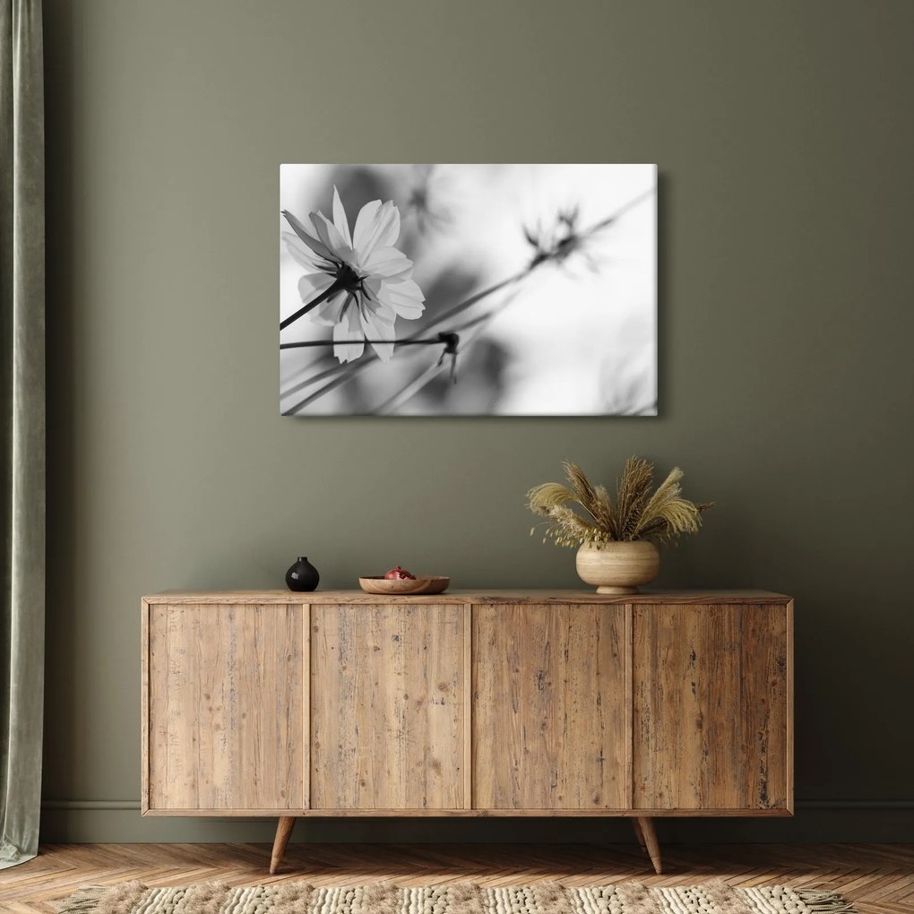 Tablou - Flori alb-negru (90x60 cm)