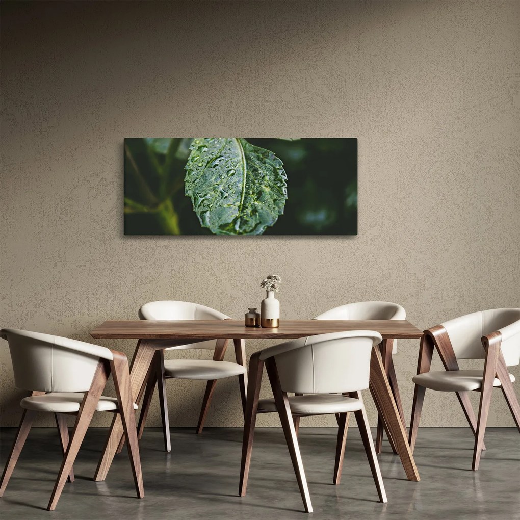 Tablou - picături pe frunză (120x50 cm)